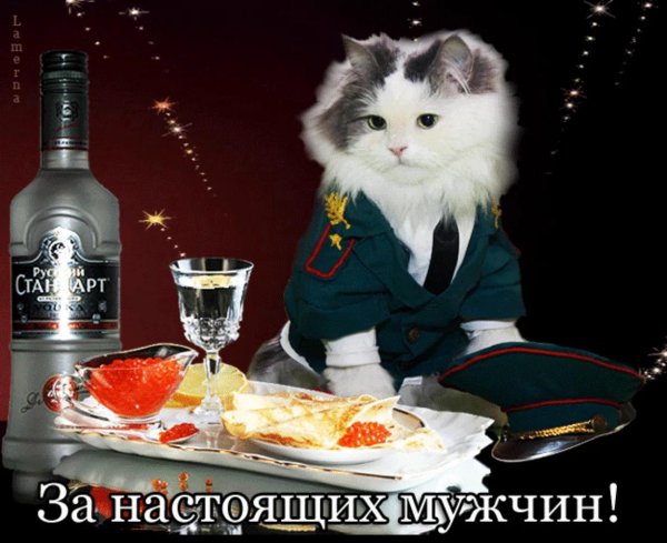 с 23 февраля