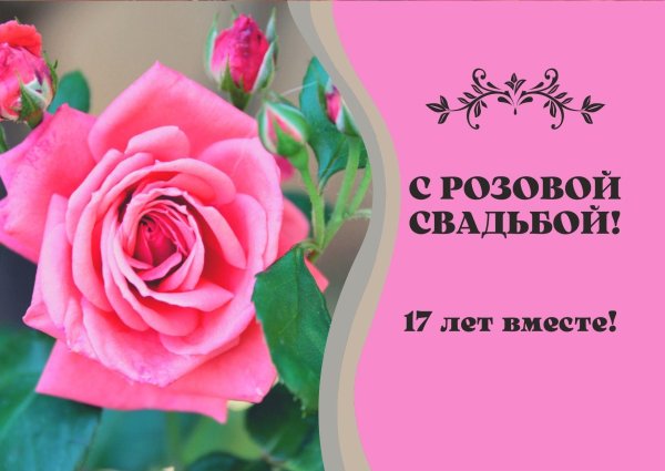 17 лет розовая свадьба