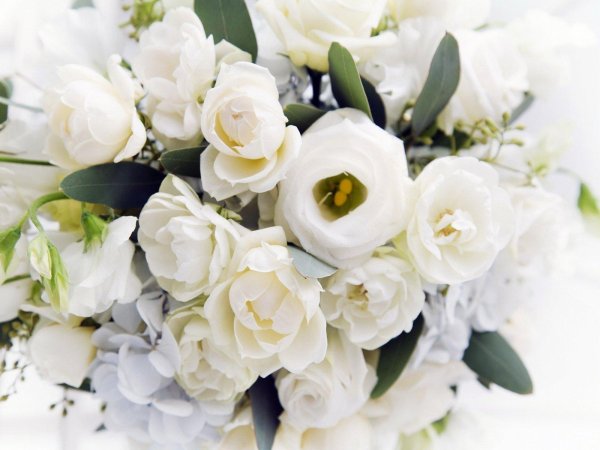 букет белых цветов