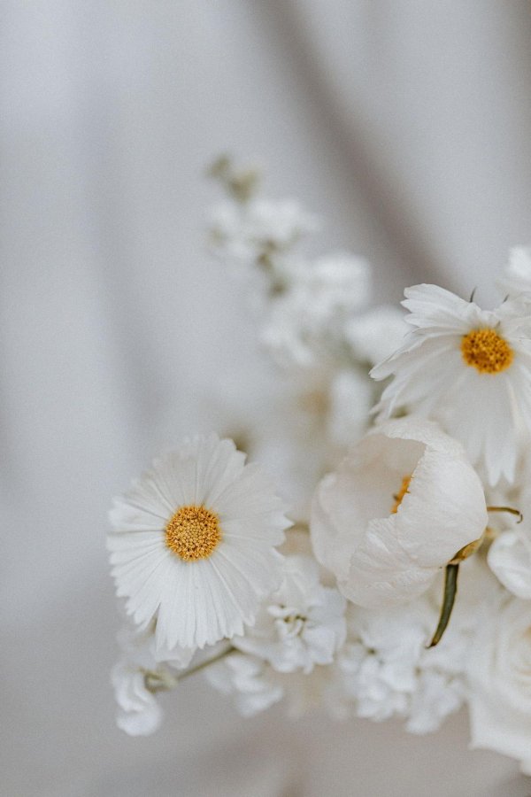 букет невест