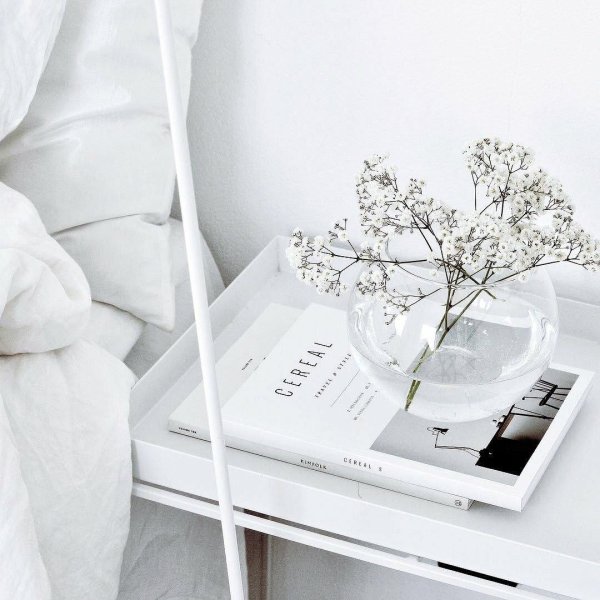 гипсофила эстетика