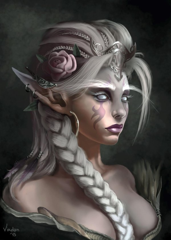 ева эльфи эльф