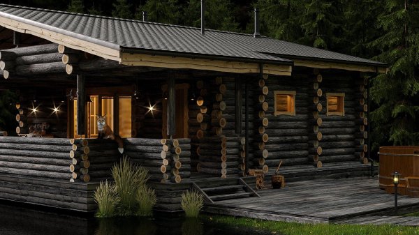 полярная сосна кело