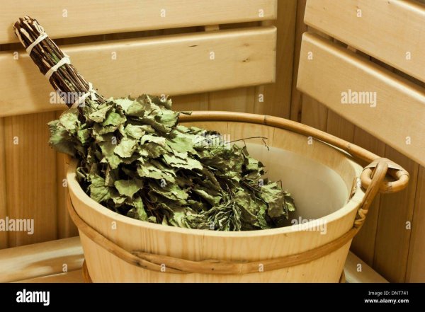 банные веники