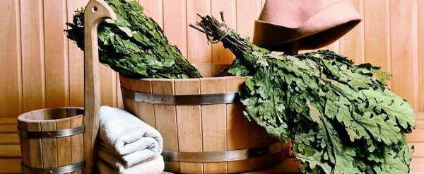 банные веники