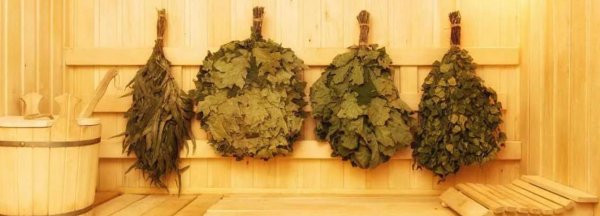 березовые веники