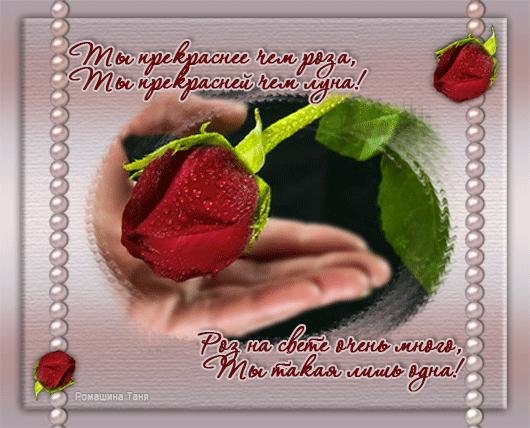 красивые стихи девушке