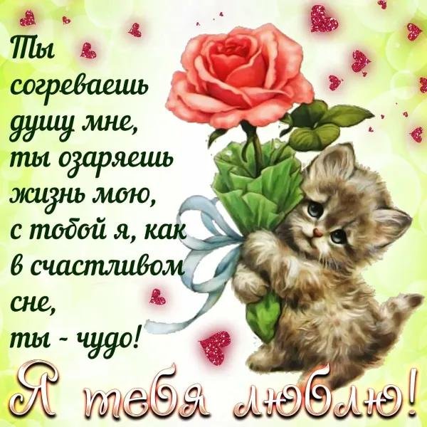 открытки и поздравления