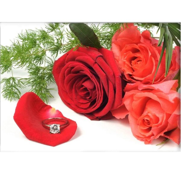 красная роза