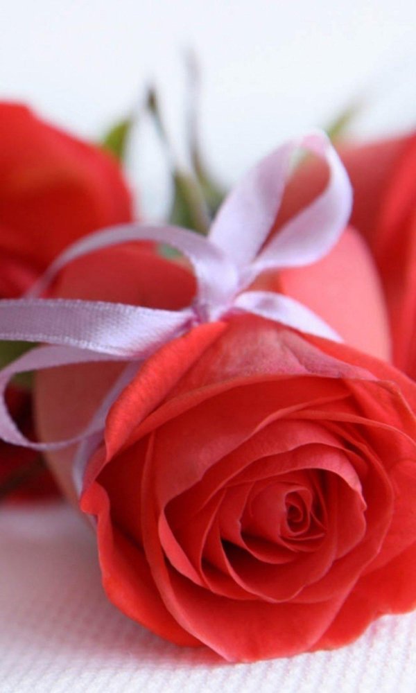 цветок для любимой