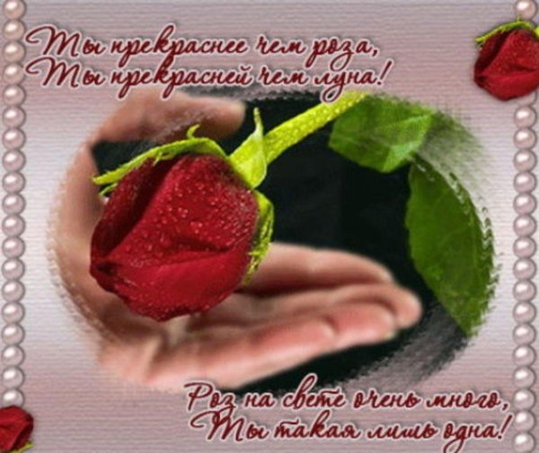красивые стихи девушке