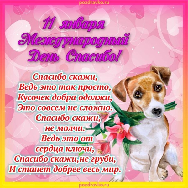 международный день спасибо 11 января
