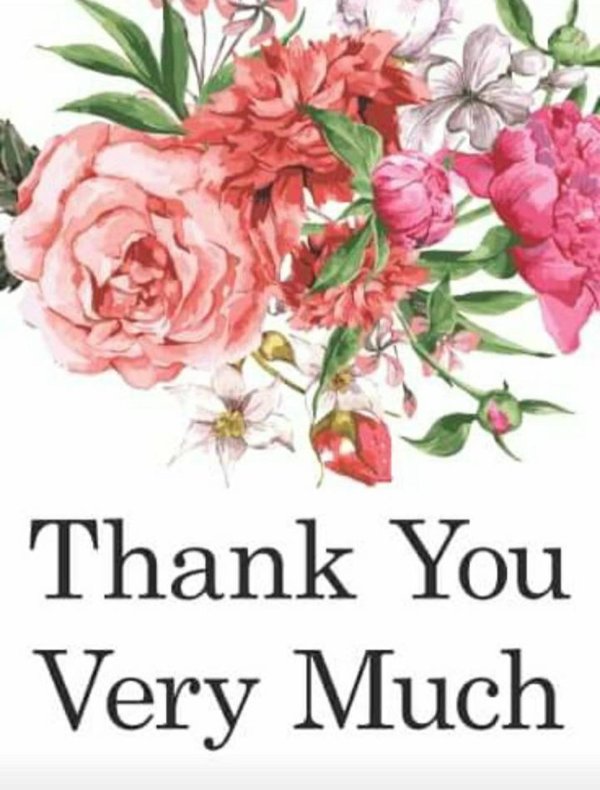 пионовидная роза акварель