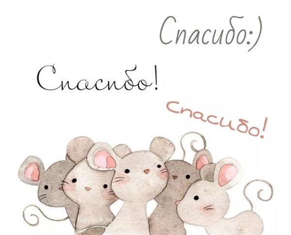 мышка благодарит
