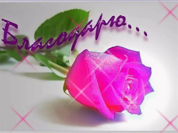 благодарю от души