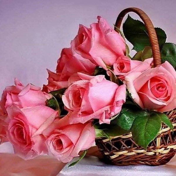 розы в корзинке