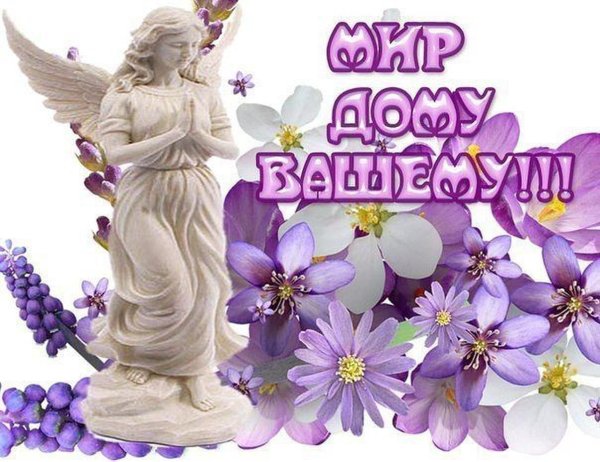 счастья мира и добра