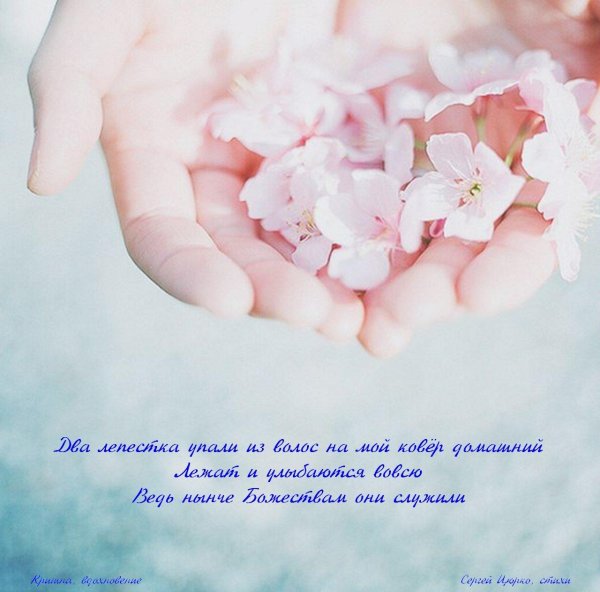 цветок нежный