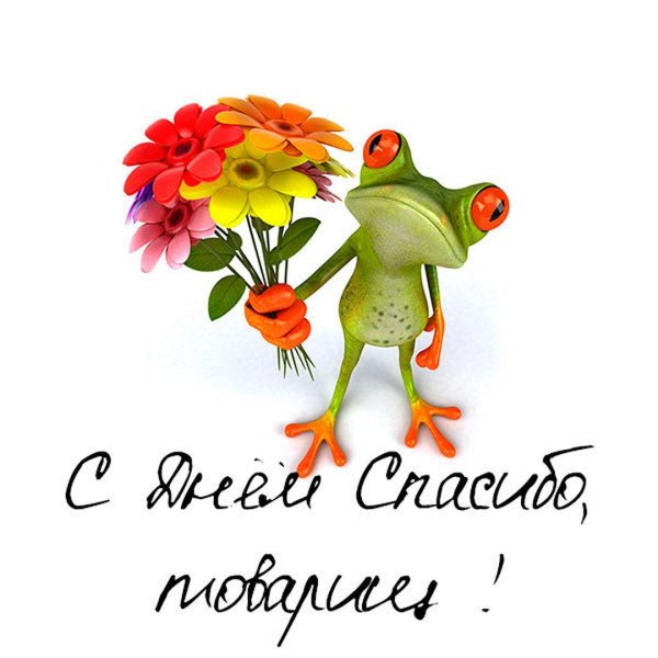 лягушка с букетом