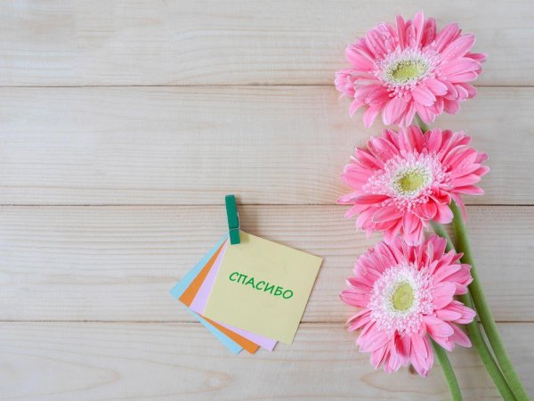 спасибо открытки красивые