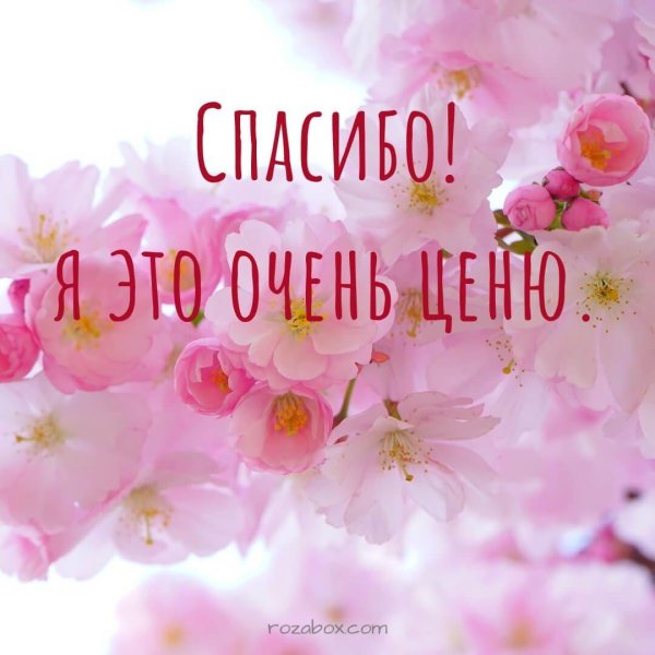 спасибо очень приятно