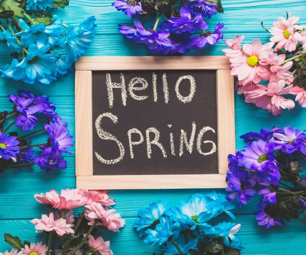 весна цветы