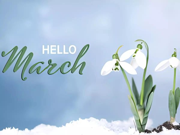 красивые подснежники