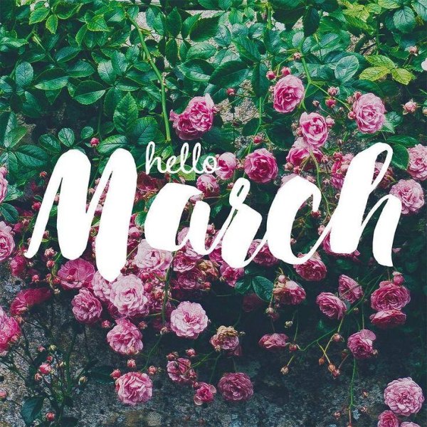 весна на английском