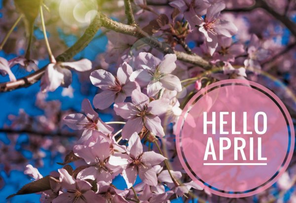 апрель месяц