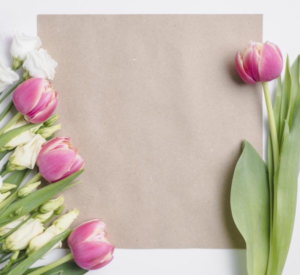 рамка тюльпаны