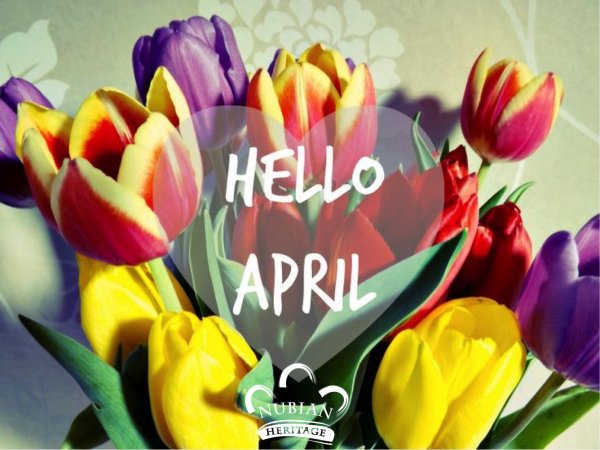 welcome april картинки