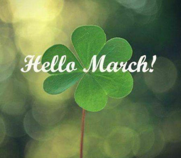 четырехлистный клевер