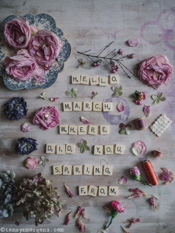 цветочная композиция