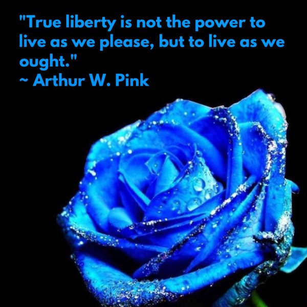 красивый синий цвет