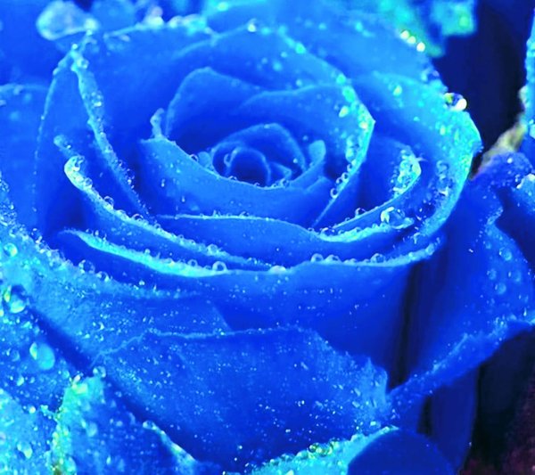 голубого цвета