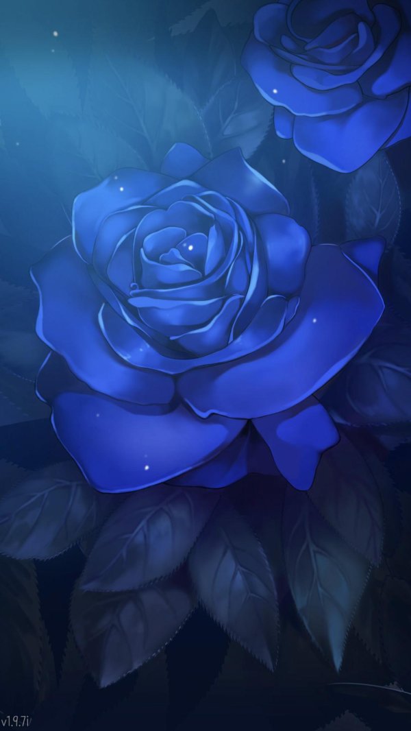 роза ультрамарин