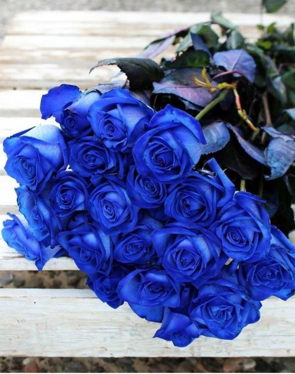 букет синих роз