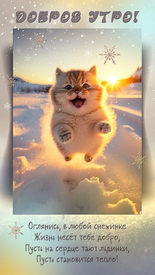 добра утра