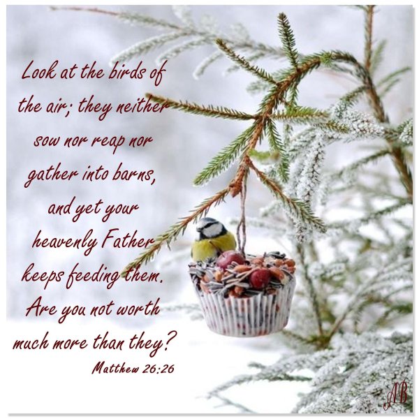 Февраль утро