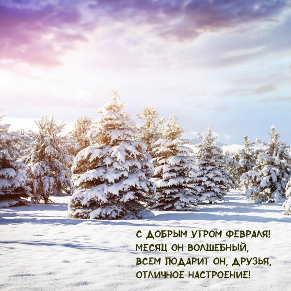 утро февраля доброе