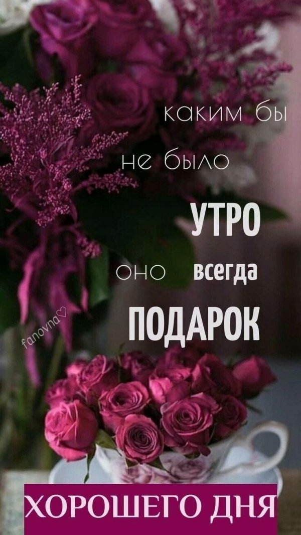 прекрасного дня и настроения красивые