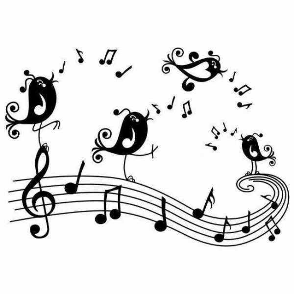 нотки птички