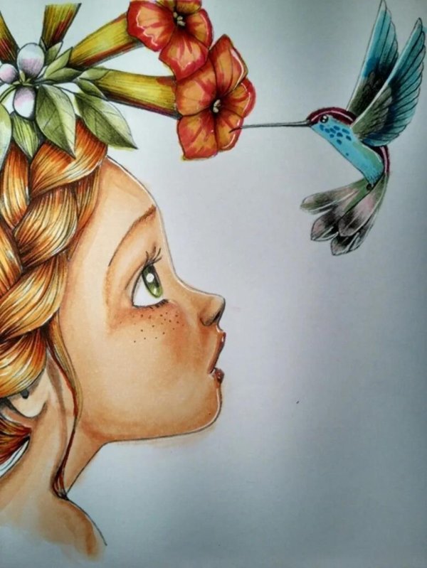 эммануэль колин иллюстрации