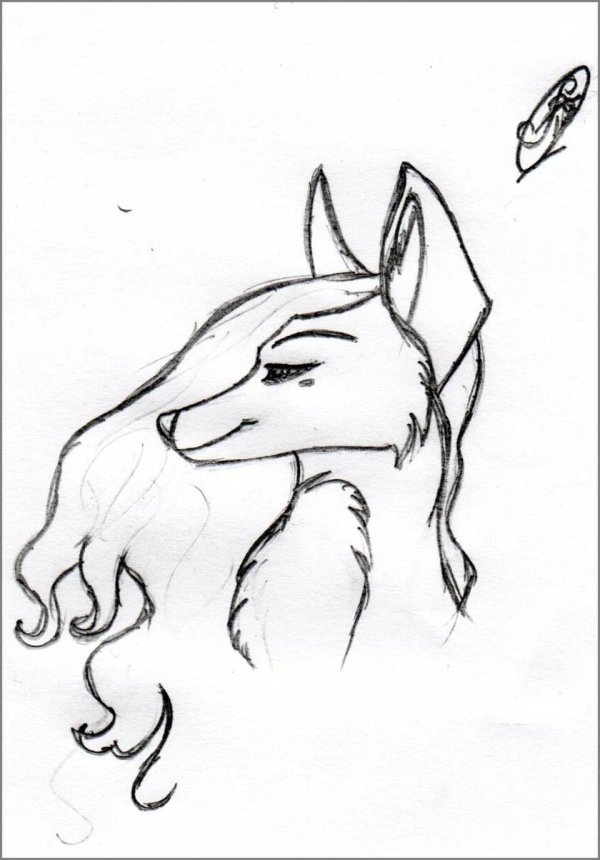 лиса для срисовки легко