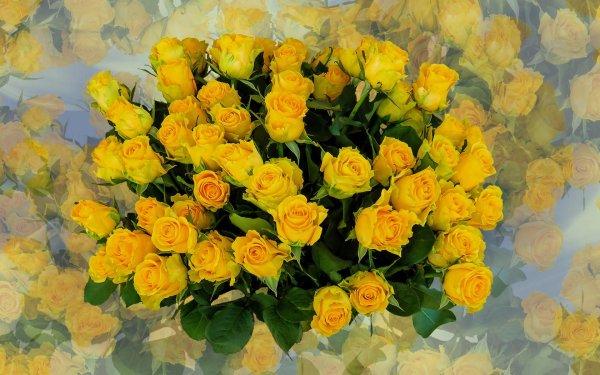 букет желтых роз