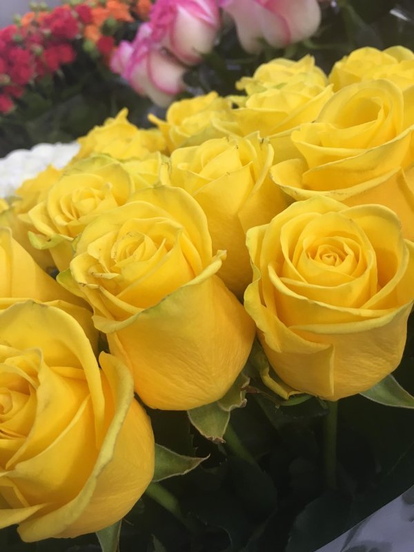 букет желтых роз