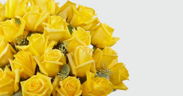 красивый желтый букет