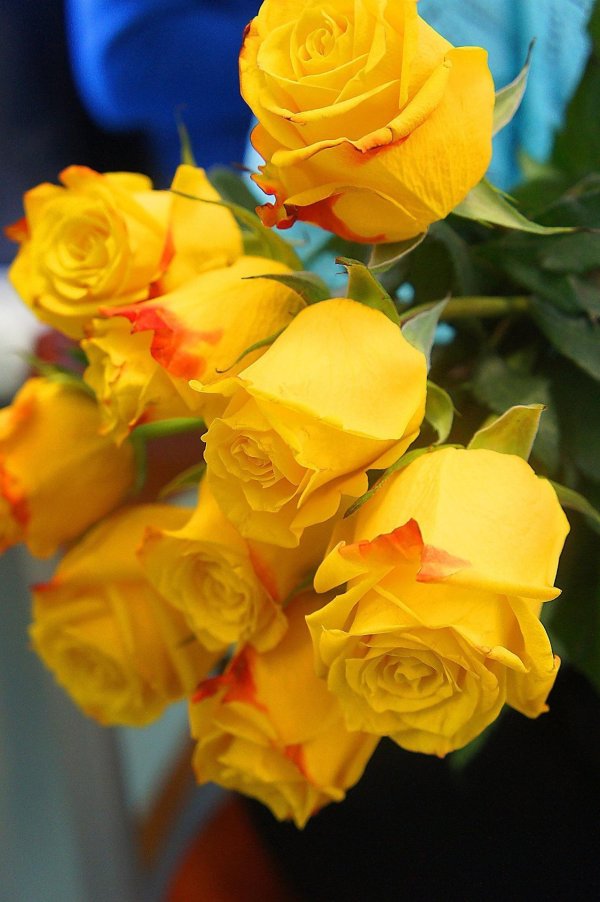 букет желтых роз