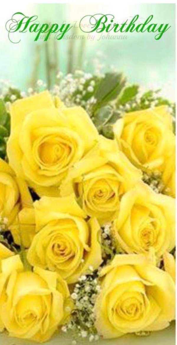 жёлтые розы