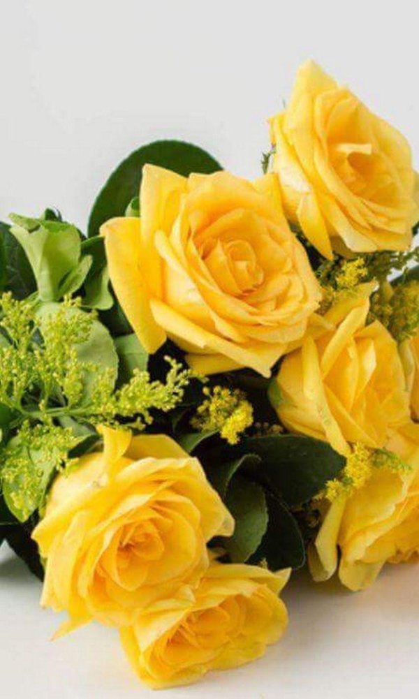 еллоу флауэрс